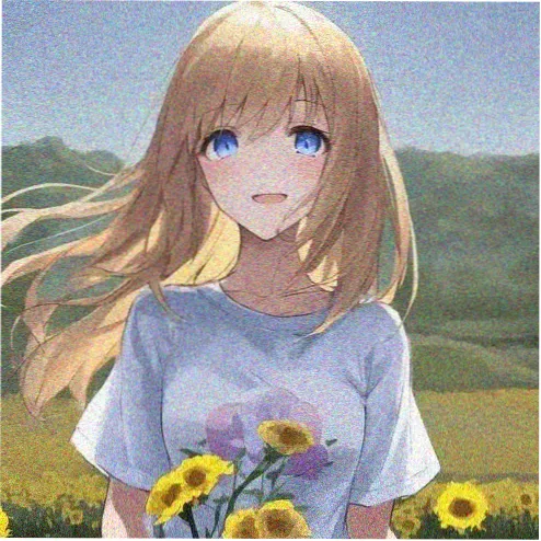 用户冬青木的头像